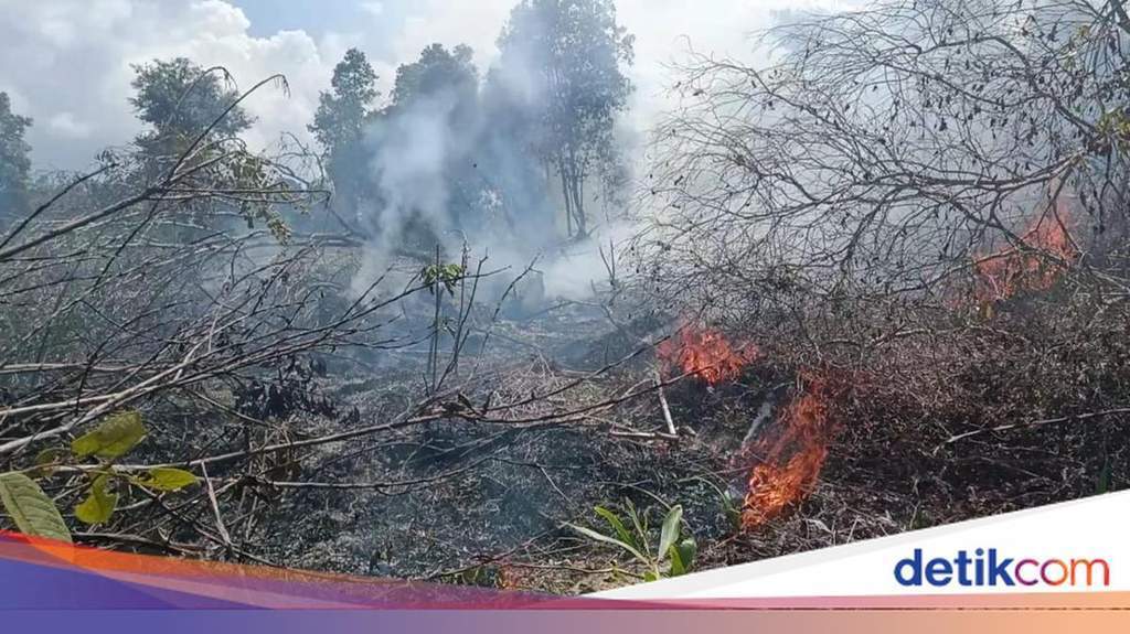 Karhutla Kian Mengancam, Ratusan Hektare Lahan di Kobar Hangus Terbakar
