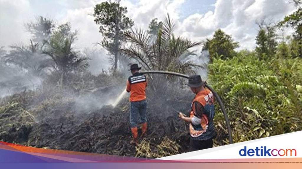 Petugas gabungan berusaha memadamkan kebakaran lahan gambut di Tumbang Nusa, Kalimantan Tengah