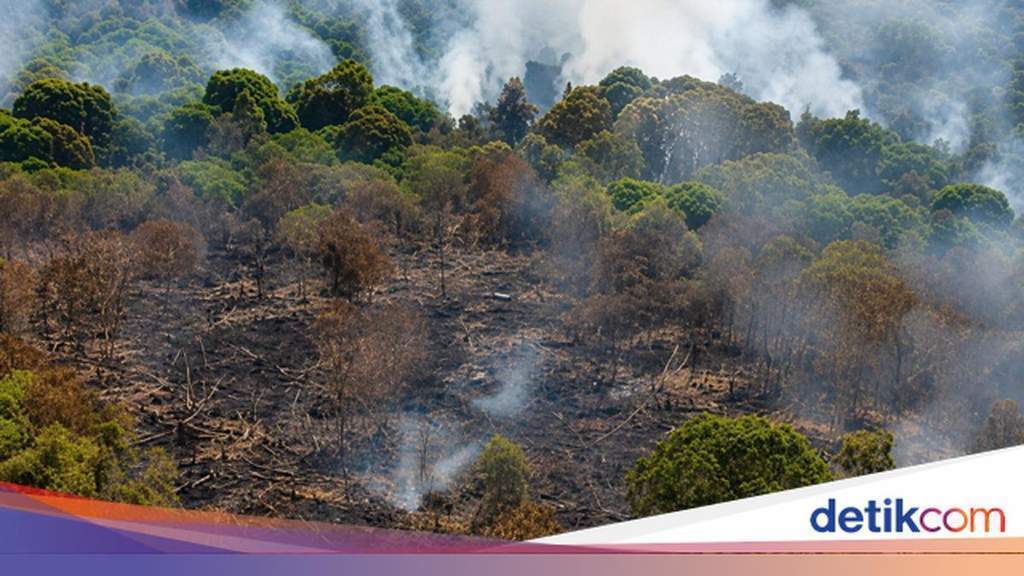 Helikopter water bombing milik BNPB melakukan pengeboman air di atas lahan kebakaran Kotim.