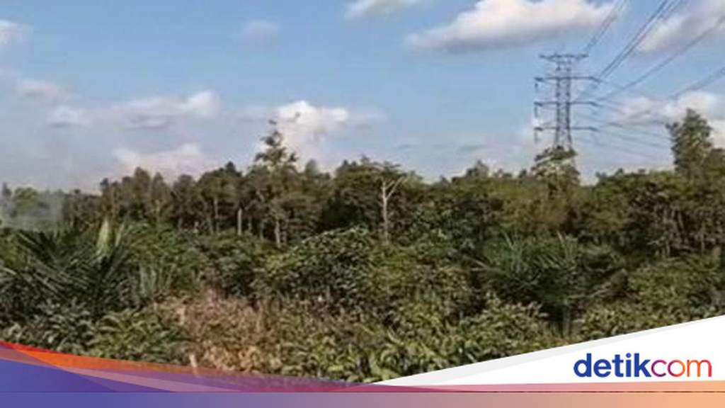 Helikopter water bombing berupaya memadamkan kebakaran lahan gambut di dekat tiang SUTET Kotim